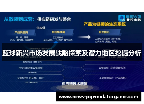 篮球新兴市场发展战略探索及潜力地区挖掘分析