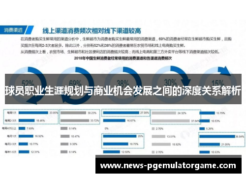 球员职业生涯规划与商业机会发展之间的深度关系解析