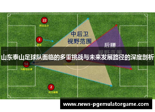 山东泰山足球队面临的多重挑战与未来发展路径的深度剖析