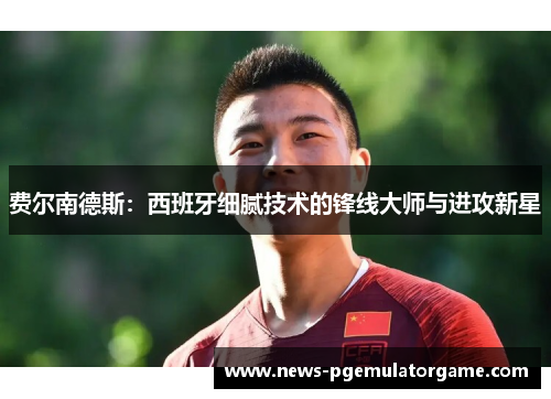 费尔南德斯：西班牙细腻技术的锋线大师与进攻新星