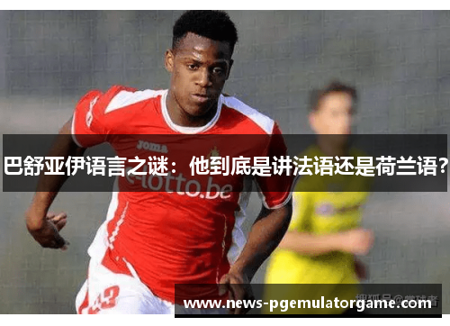 巴舒亚伊语言之谜:他到底是讲法语还是荷兰语? 巴舒亚伊语言之谜:他到底是讲法语还是荷兰语?