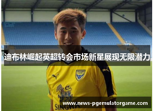 迪布林崛起英超转会市场新星展现无限潜力