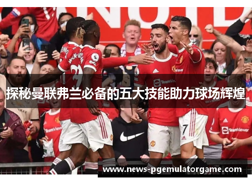 探秘曼联弗兰必备的五大技能助力球场辉煌